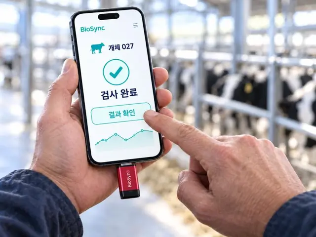 휴대폰 앱에 검사 완료 화면이 뜬 모습